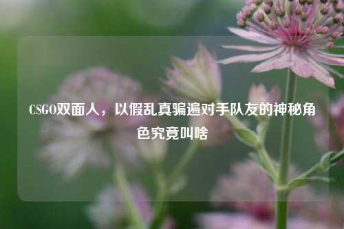 CSGO双面人,以假乱真骗遍对手队友的神秘角色究竟叫啥
