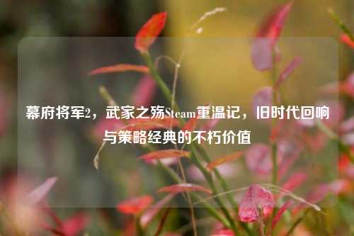 幕府将军2,武家之殇Steam重温记,旧时代回响与策略经典的不朽价值