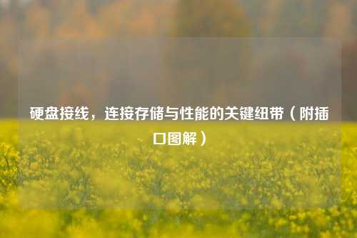 硬盘接线,连接存储与性能的关键纽带(附插口图解)