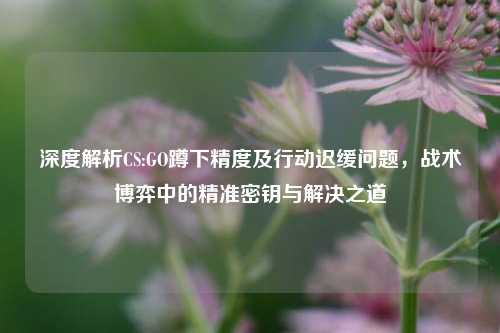深度解析CS:GO蹲下精度及行动迟缓问题,战术博弈中的精准密钥与解决之道