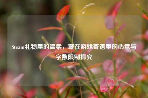 Steam礼物里的温柔,藏在游戏寄语里的心意与字数限制探究
