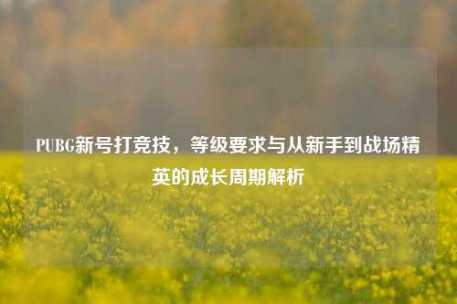 PUBG新号打竞技,等级要求与从新手到战场精英的成长周期解析