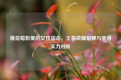 镜花暗影里的女性宿命,王者荣耀貂蝉与芈月实力对析