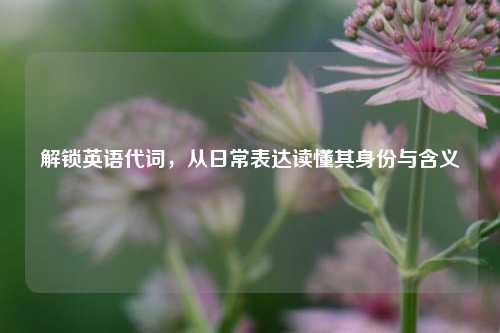 解锁英语代词,从日常表达读懂其身份与含义