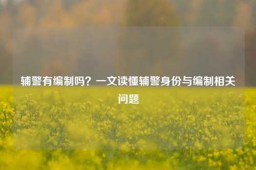 辅警有编制吗?一文读懂辅警身份与编制相关问题