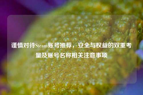 谨慎对待Steam账号推荐,安全与权益的双重考量及账号名称相关注意事项