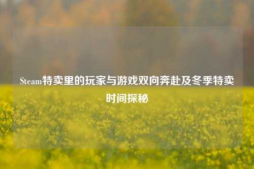 Steam特卖里的玩家与游戏双向奔赴及冬季特卖时间探秘