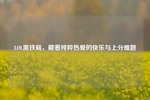 LOL黑铁局,藏着纯粹热爱的快乐与上分难题