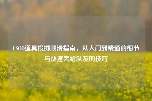 CSGO道具投掷顺滑指南,从入门到精通的细节与快速丢给队友的技巧
