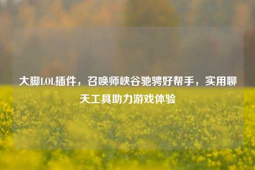 大脚LOL插件,召唤师峡谷驰骋好帮手,实用聊天工具助力游戏体验