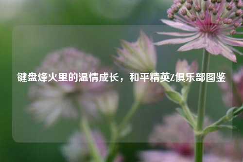 键盘烽火里的温情成长,和平精英Z俱乐部图鉴