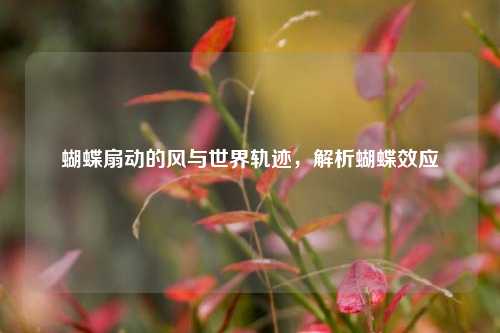 蝴蝶扇动的风与世界轨迹,解析蝴蝶效应