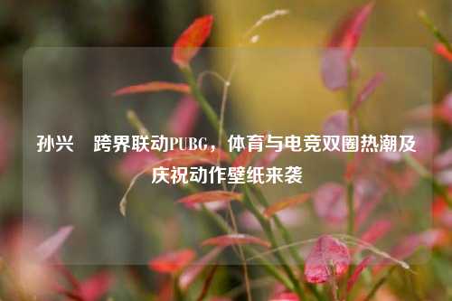 孙兴慜跨界联动PUBG,体育与电竞双圈热潮及庆祝动作壁纸来袭