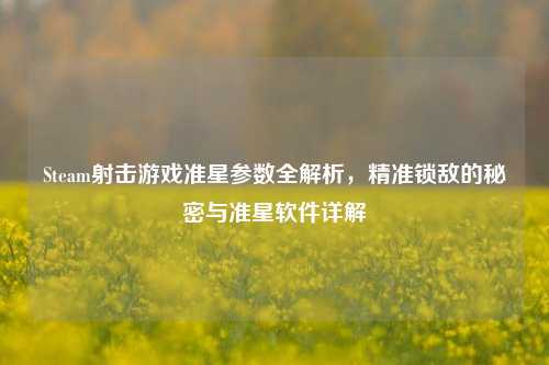 Steam射击游戏准星参数全解析,精准锁敌的秘密与准星软件详解