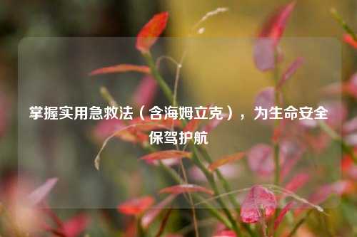 掌握实用急救法(含海姆立克),为生命安全保驾护航