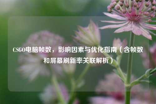 CSGO电脑帧数,影响因素与优化指南(含帧数和屏幕刷新率关联解析)