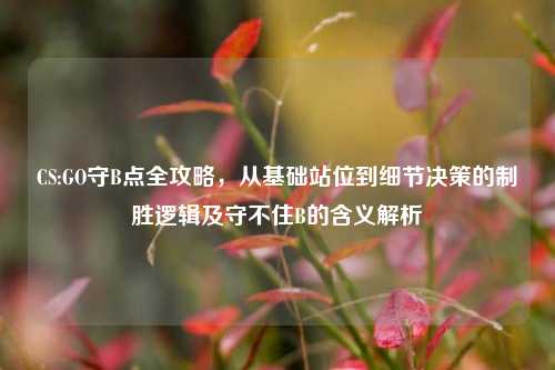 CS:GO守B点全攻略,从基础站位到细节决策的制胜逻辑及守不住B的含义解析