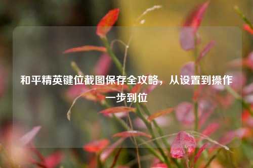 和平精英键位截图保存全攻略，从设置到操作一步到位