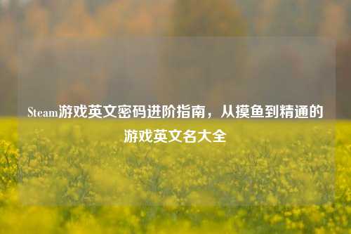 Steam游戏英文密码进阶指南,从摸鱼到精通的游戏英文名大全