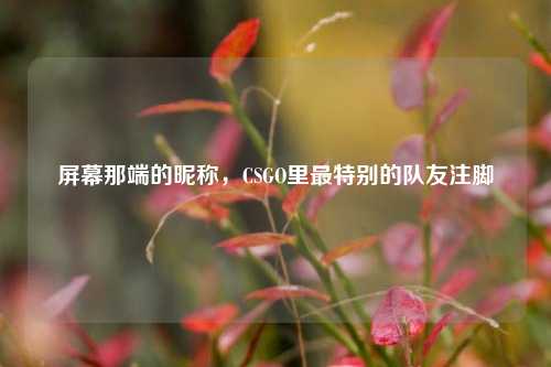 屏幕那端的昵称,CSGO里最特别的队友注脚