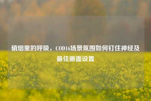 硝烟里的呼吸，COD16场景氛围如何钉住神经及最佳画面设置