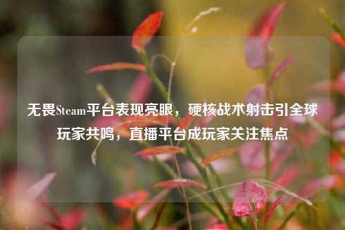 无畏Steam平台表现亮眼,硬核战术射击引全球玩家共鸣,直播平台成玩家关注焦点