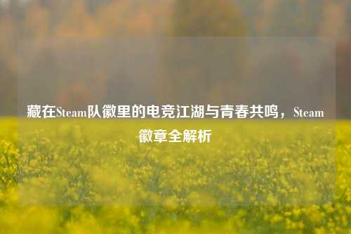 藏在Steam队徽里的电竞江湖与青春共鸣，Steam徽章全解析
