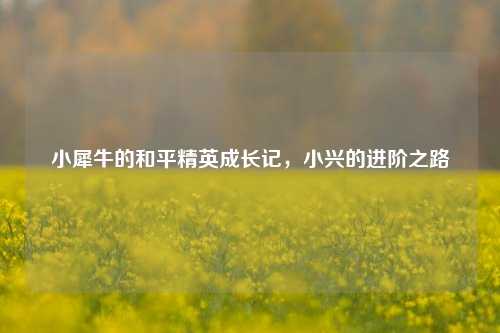 小犀牛的和平精英成长记,小兴的进阶之路