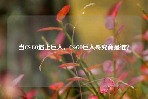 当CS:GO遇上巨人,CS:GO巨人哥究竟是谁?