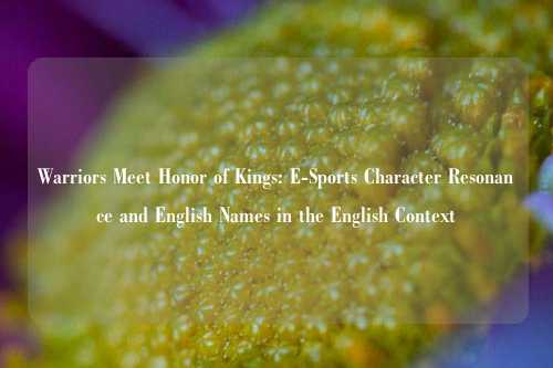 Warriors Meet Honor of Kings: E-Sports Character Resonance and English Names in the English Context