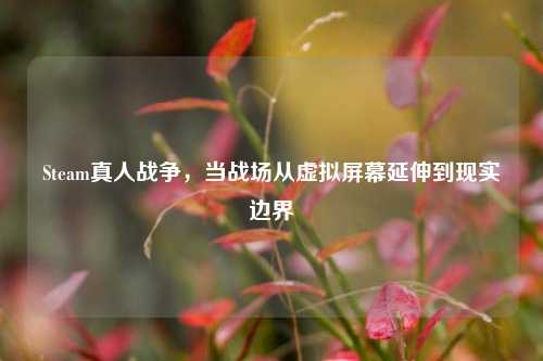 Steam真人战争,当战场从虚拟屏幕延伸到现实边界