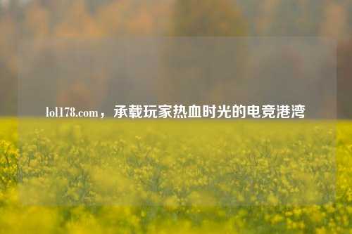 lol178.com,承载玩家热血时光的电竞港湾