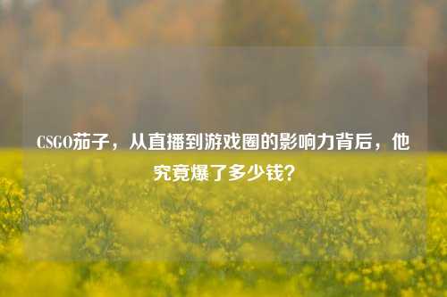 CSGO茄子,从直播到游戏圈的影响力背后,他究竟爆了多少钱?