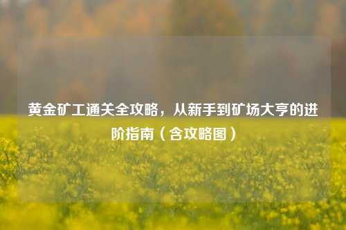 黄金矿工通关全攻略,从新手到矿场大亨的进阶指南(含攻略图)