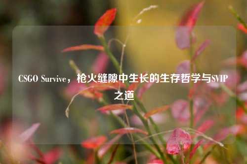 CSGO Survive，枪火缝隙中生长的生存哲学与SVIP之道