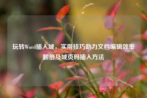 玩转Word插入域,实用技巧助力文档编辑效率翻倍及域页码插入方法