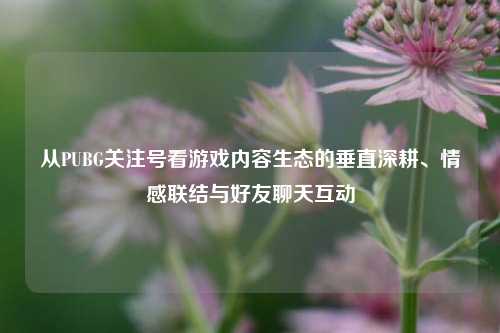 从PUBG关注号看游戏内容生态的垂直深耕、情感联结与好友聊天互动