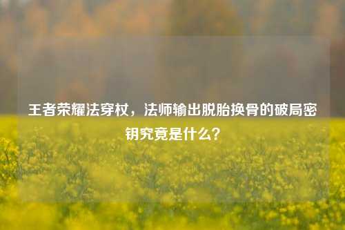 王者荣耀法穿杖,法师输出脱胎换骨的破局密钥究竟是什么?