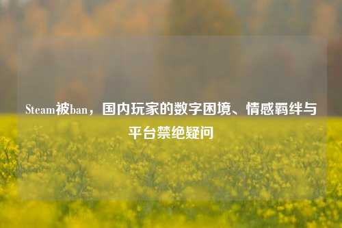 Steam被ban，国内玩家的数字困境、情感羁绊与平台禁绝疑问