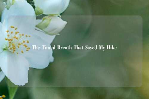The Timed Breath That Saved My Hike