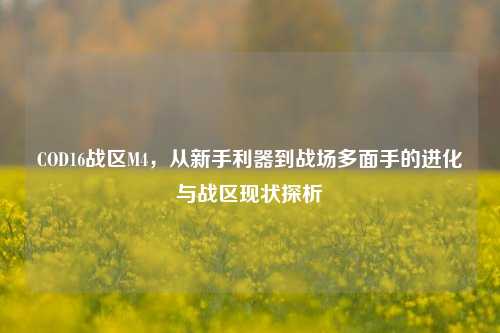 COD16战区M4,从新手利器到战场多面手的进化与战区现状探析