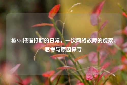 被502报错打断的日常，一次网络故障的观察、思考与原因探寻
