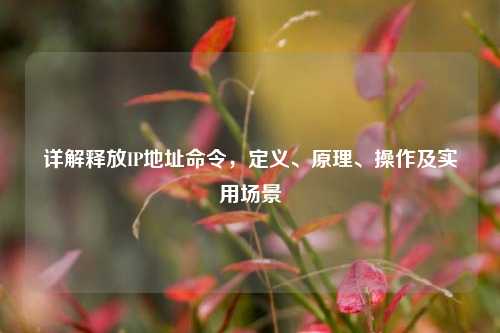 详解释放IP地址命令,定义、原理、操作及实用场景