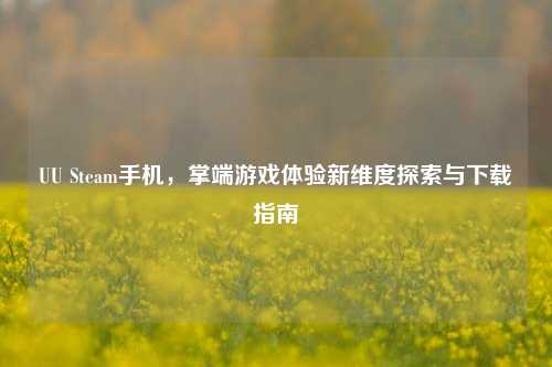 UU Steam手机,掌端游戏体验新维度探索与下载指南
