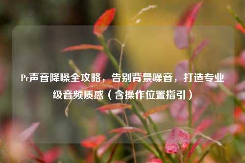Pr声音降噪全攻略，告别背景噪音，打造专业级音频质感（含操作位置指引）