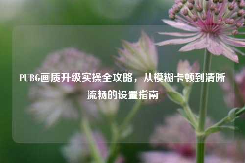 PUBG画质升级实操全攻略，从模糊卡顿到清晰流畅的设置指南