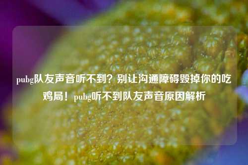 pubg队友声音听不到？别让沟通障碍毁掉你的吃鸡局！pubg听不到队友声音原因解析
