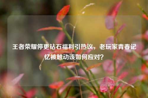 王者荣耀停更钻石福利引热议,老玩家青春记忆被触动该如何应对?