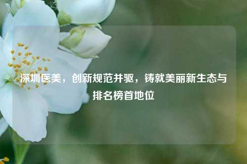 深圳医美，创新规范并驱，铸就美丽新生态与排名榜首地位