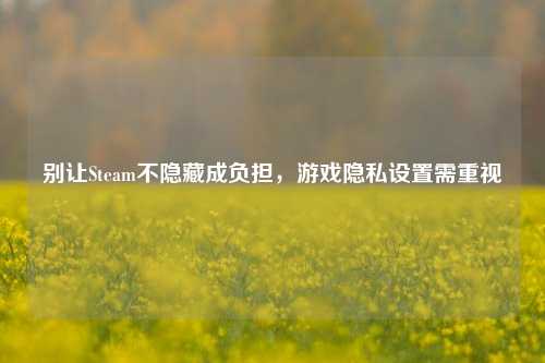 别让Steam不隐藏成负担，游戏隐私设置需重视